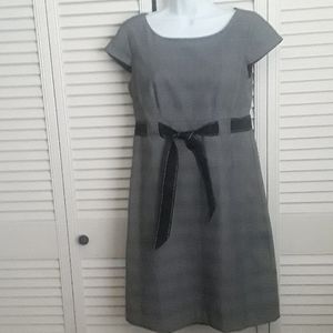 Studio One Muted Glen Plaid Size 6P Gray Tones